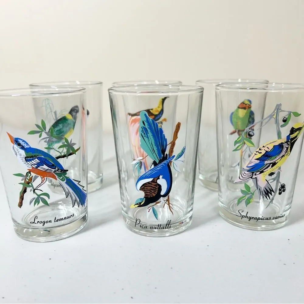VTG 60’s Kig Malaysia Exotic Tropical Bird Glasses Set of 6